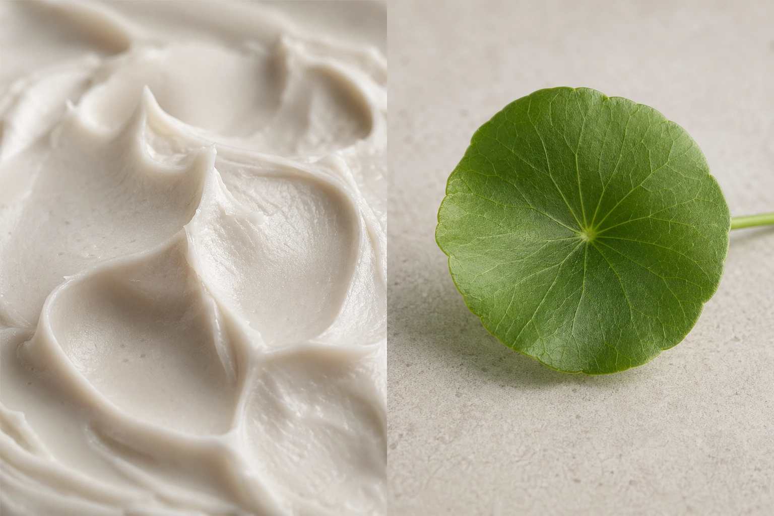 Split screen showing a rich ceramide cream texture and a green centella leaf