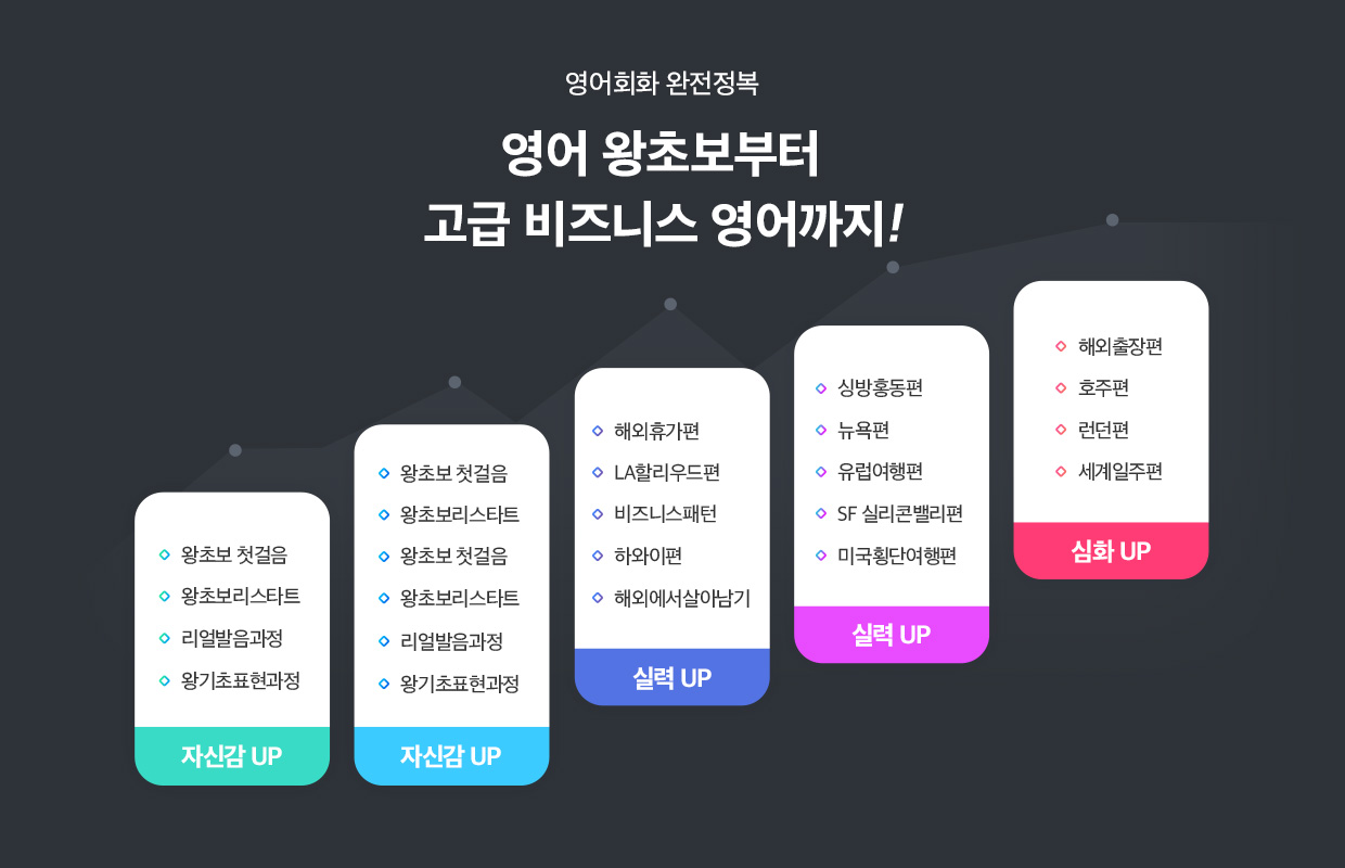 초급부터 고급까지 이어지는 영어 학습 커리큘럼 인포그래픽